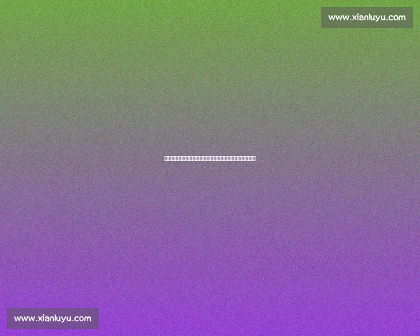 大秀哥挑战梅威瑟:一场震撼世界的拳击传奇对决即将上演